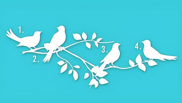 Test de personalidad: elige uno de los pájaros y descubre el motivo de tu existencia (Foto: GenialGuru).