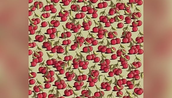 Un tomate está oculto a simple vista entre las cerezas en esta imagen. Tienes ojos de halcón si puedes verlo en 9 segundos. (Foto: jagranjosh)