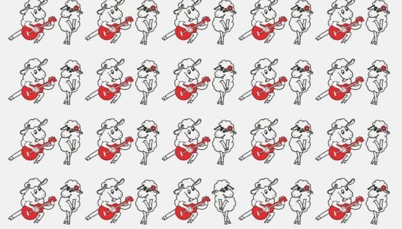 Busca entre los pares de ovejas rockeras a la pareja diferente en solo 5 segundos. (Facebook)