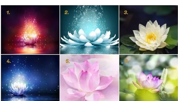 Este test visual te invita a elegir una de las seis flores de loto que se presentan. Cada una de ellas tiene un significado especial que te brindará una guía personalizada sobre las decisiones que debes tomar en tu vida actual.