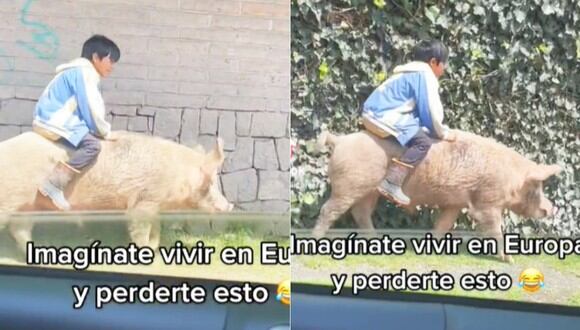 Niño 'cabalga' sobre un cerdo por las calles. (Imagen: @diicarrera / TikTok)