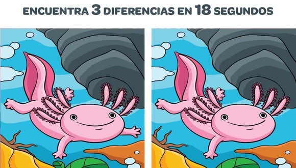 ¿Eres lo suficientemente inteligente como para detectar 3 diferencias en la imagen submarina en 18 segundos? (foto:  Brain Gym Internacional)