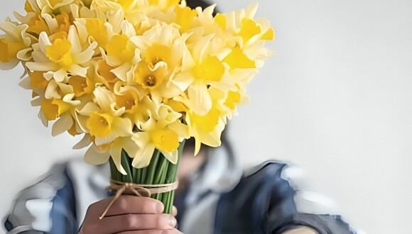 Flores amarillas el 21 de marzo: por qué se regalan y ver significado (Foto: Internet)