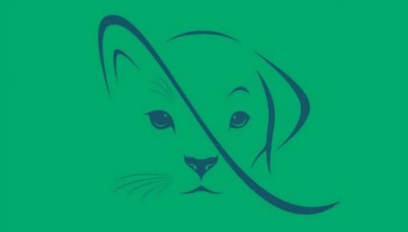 En esta imagen, cuyo fondo es de color verde, se aprecia el dibujo de un gato y de un perro. (Foto: MDZ Online)