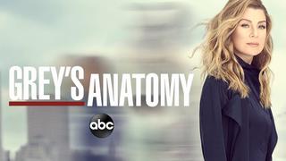“Grey’s Anatomy”, temporada 17: ¿cuándo llegarán los nuevos episodios de la serie de la ABC?