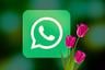 Así puedes activar el “modo mamá” en WhatsApp por el Día de la Madre