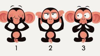 El mono con el que te identifiques en este test visual revelará cómo te ven las personas