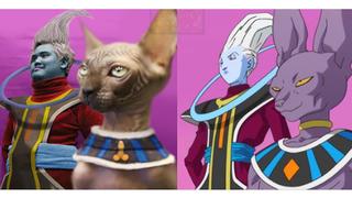 Dragon Ball Super: el cosplay más barato de Bills y Whiss encanta a la comunidad en Internet