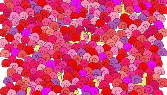 Reto viral: ¿Eres capaz de hallar el corazón oculto entre los caracoles de la imagen? (Foto: dudolf.com)
