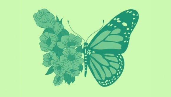 En esta imagen, cuyo fondo es de color verde, se aprecia el dibujo de una mariposa y el de unas flores. (Foto: MDZ Online)