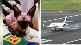 Cristiano Ronaldo envía en jet privado a gato que sufrió accidente