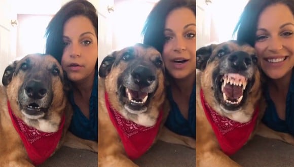 Un video viral muestra la facilidad con la que un perro sonríe cuando su dueña le pide un selfie. | Crédito: ViralHog / YouTube