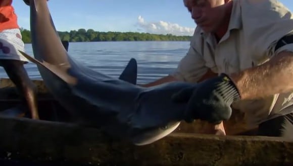 Pescador lanzó su anzuelo sin imaginar que un tiburón emegería del agua. (YouTube)