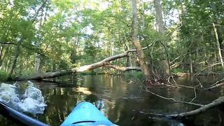 Caimán embiste así el kayak de un hombre y casi lo tira al río en un imperdible video