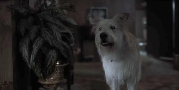 Chester apareció en la primera temporada de "cosas extrañas" (Foto: Netflix)
