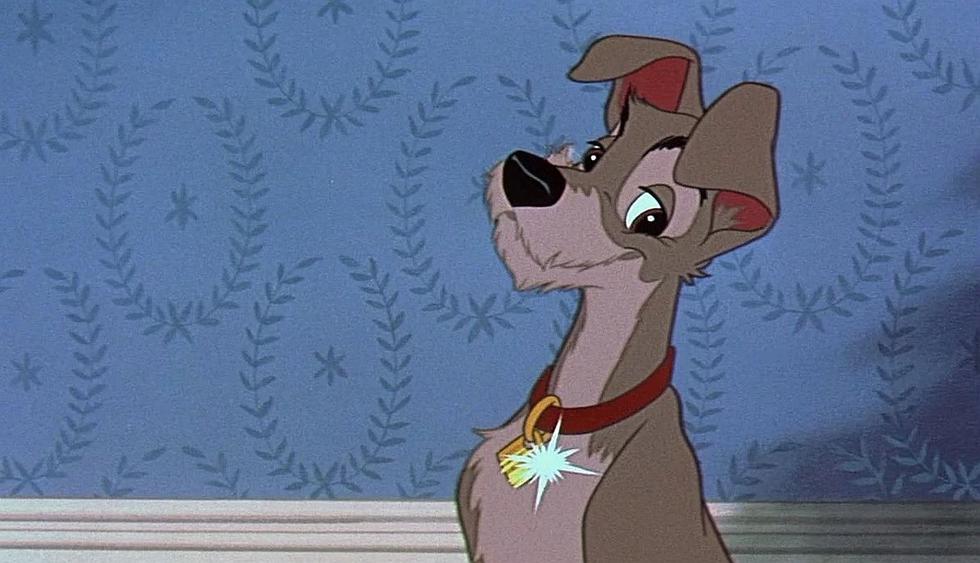 Disney presentó a los protagonistas de la versión live action de "La dama y el vagabundo". (Foto: Disney).