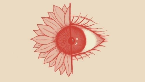 En esta imagen, cuyo fondo es de color rosado, se aprecia el dibujo de un ojo y el de una flor. (Foto: MDZ Online)