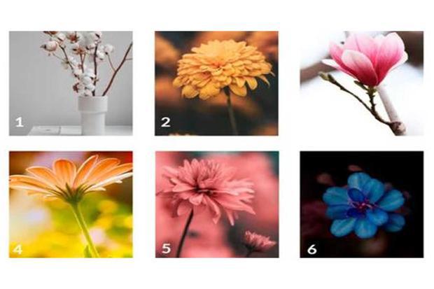 Elige una de las flores y descubre qué te depara el futuro con este test de personalidad (Foto: Facebook).