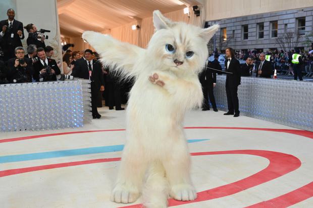 Disfraz del gato Choupette (Foto: AFP)