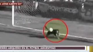 Se cree Oliver 'Can': perro invade campo en Argentina y evita gol con una gran atajada [VIDEO VIRAL]