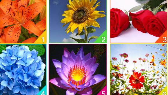 Escoge la flor que más te agrada y descubre distintos aspectos sobre ti en este test de personalidad.| Foto: namastest