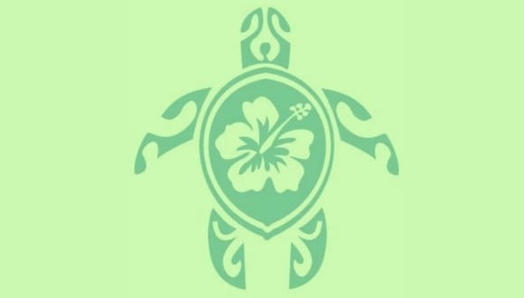 En esta imagen, cuyo fondo es de color verde, se aprecia el dibujo de una tortuga y el de una flor. (Foto: MDZ Online)