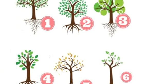 TEST VISUAL | En esta imagen hay muchos árboles. Tienes que escoger uno. (Foto: namastest.net)
