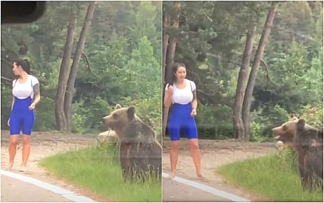 Alessandro Băcăoanu se movilizaba en su auto junto a su pareja cuando notó algo insólito: una chica había descendido de su coche para acercarse a un oso que descansaba a un lado de la vía. (Foto: Captura/ViralHog)