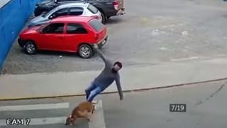 Video viral de perro que “atropella” a hombre esconde “trágica historia”