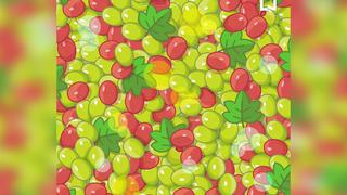 Reto viral: Solo tienes 30 segundos para encontrar las aceitunas entre las uvas
