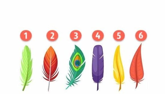 TEST VISUAL | Elige una de las 6 plumas y te revelaré aspectos ocultos de tu personalidad. | greatpicture.ru