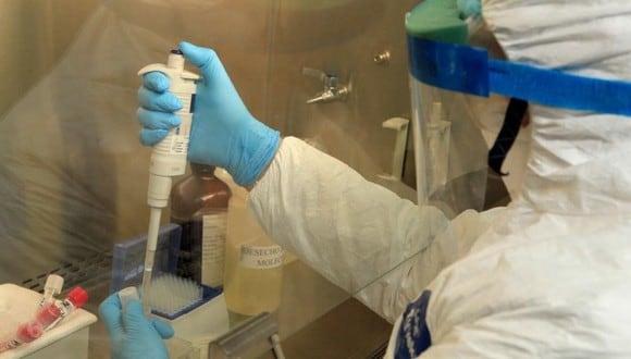 Científicos australianos continúan su lucha para tratar el coronavirus. (Foto: EFE)