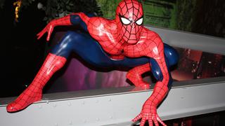 Spider-Man | Niños se dejan morder por una venenosa araña para imitar a Peter Parker y convertirse en el “Hombre Araña” 
