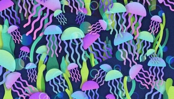 Mira el reto visual medusas y dinos si puedes dar con el hongo camuflado. (Mdzol)