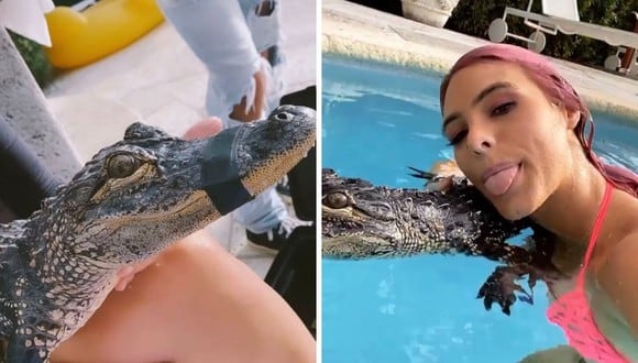 Stefania Roitman y Lele Pons compartieron fotografías en sus redes sociales donde se les ve nadando con el animal. (Foto: Captura de Twitter).