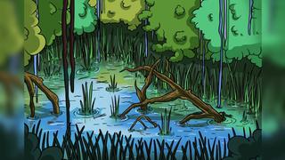 Reto viral nivel ‘Killer Croc’: localiza al cocodrilo oculto en el pantano en tu primer intento