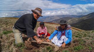 AQUÍ, Bono Rural 760 soles, consulta en línea: todos los detalles del subsidio del Gobierno a este sector de la población