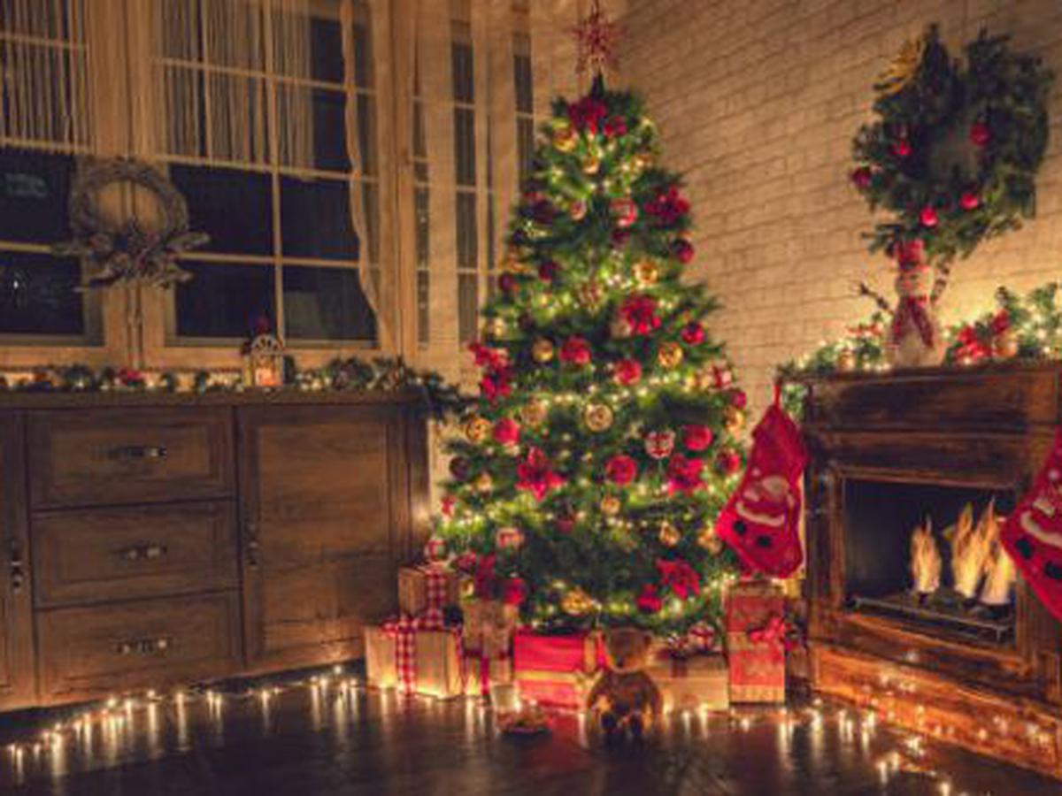 Cuánto cuesta poner un árbol de navidad? Te explicamos - El