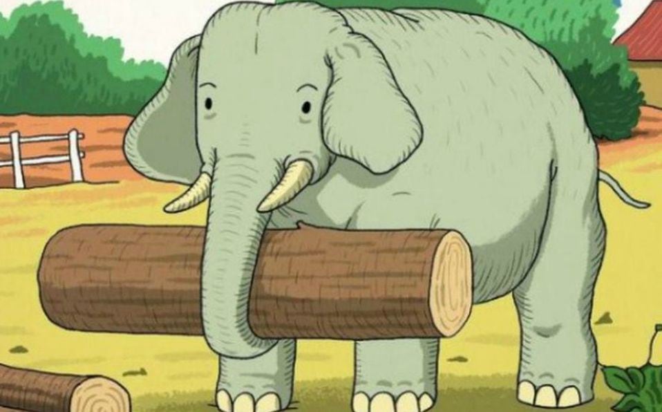 Halla el animal junto al elefante que pocos ven en redes sociales. (Difusión)