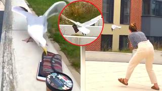 Video viral: Gaviota ‘roba’ billetera de distraída joven y vuela para evitar ser atrapada