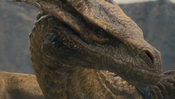En “House of the Dragon”, los dragones de ambos bandos se enfrentarán en diversas batallas (Foto: HBO)