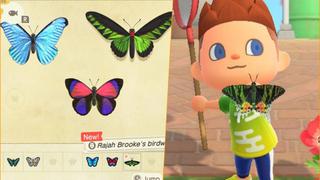 “Animal Crossing: New Horizons”: la nueva actualización del videojuego redujo la aparición de ciertos bichos