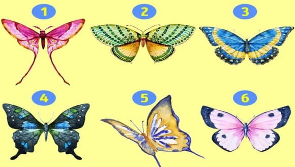 TEST VISUAL | En esta imagen hay muchas mariposas. Debes elegir una. (Foto: namastest.net)