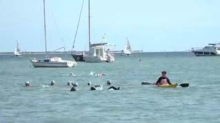 El español Alberto Lorente bate el récord del mundo nadando a ciegas 