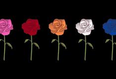 Test de personalidad: elige una de las rosas y descubre qué necesitas en tu vida