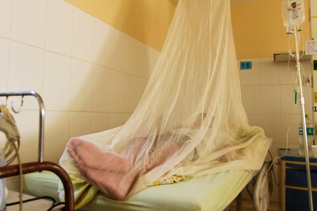 Pacientes con dengue en los hospitales (Foto: AFP)
