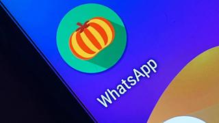 Cambia el ícono de WhatsApp por una calabaza este Halloween