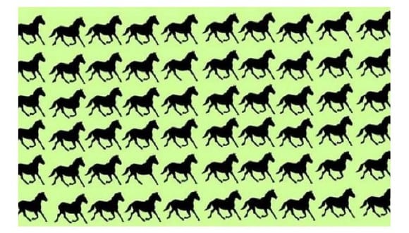 El reto viral presenta a un conjunto de caballos ubicados en orden la misión es hallar a seis de ellos que son diferentes.