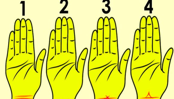 Tienes que mirar con atención y responder cómo son las líneas de tu mano. Tras ello, conocerás los resultados del test viral.| Foto: namastest