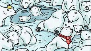 Un reto imposible de resolver: ¿puedes ver a la foca camuflada entre los osos polares? [FOTO]
